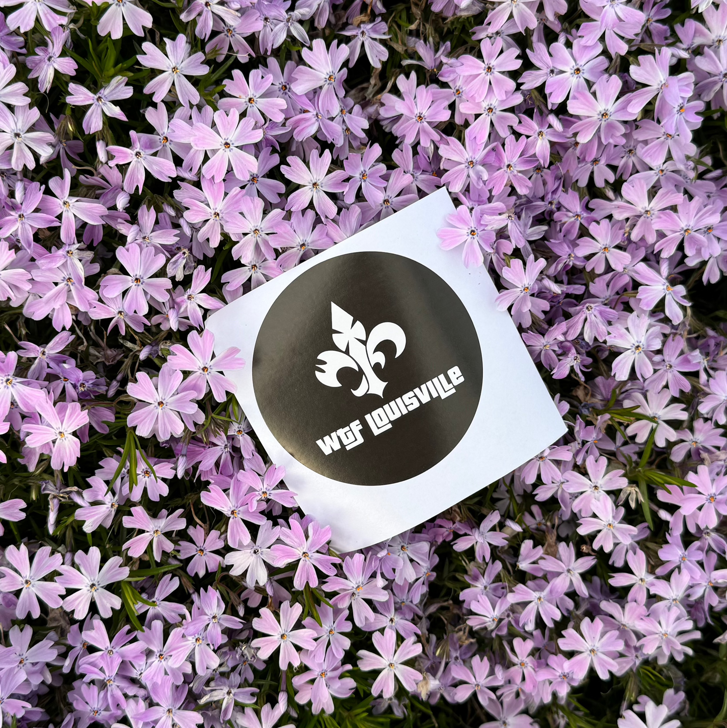 Black WTF Sticker